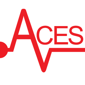 Aces Inc.