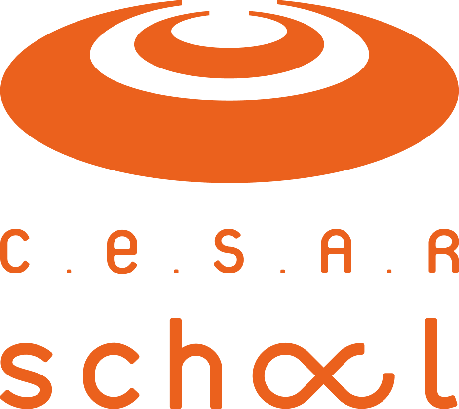 CESAR School