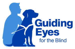 Guiding Eyes For The Blind